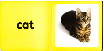 open book with the  word cat and a picture of a cat on yellow background